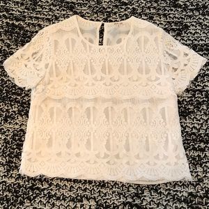 Lace Crop Top T-shirt